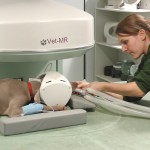 We have an on-site MRI scanner for our small animal referral practice